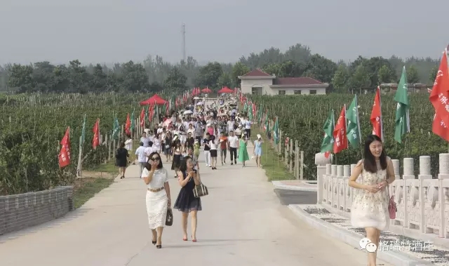 15498517569938.jpg 640.webp (6).jpg