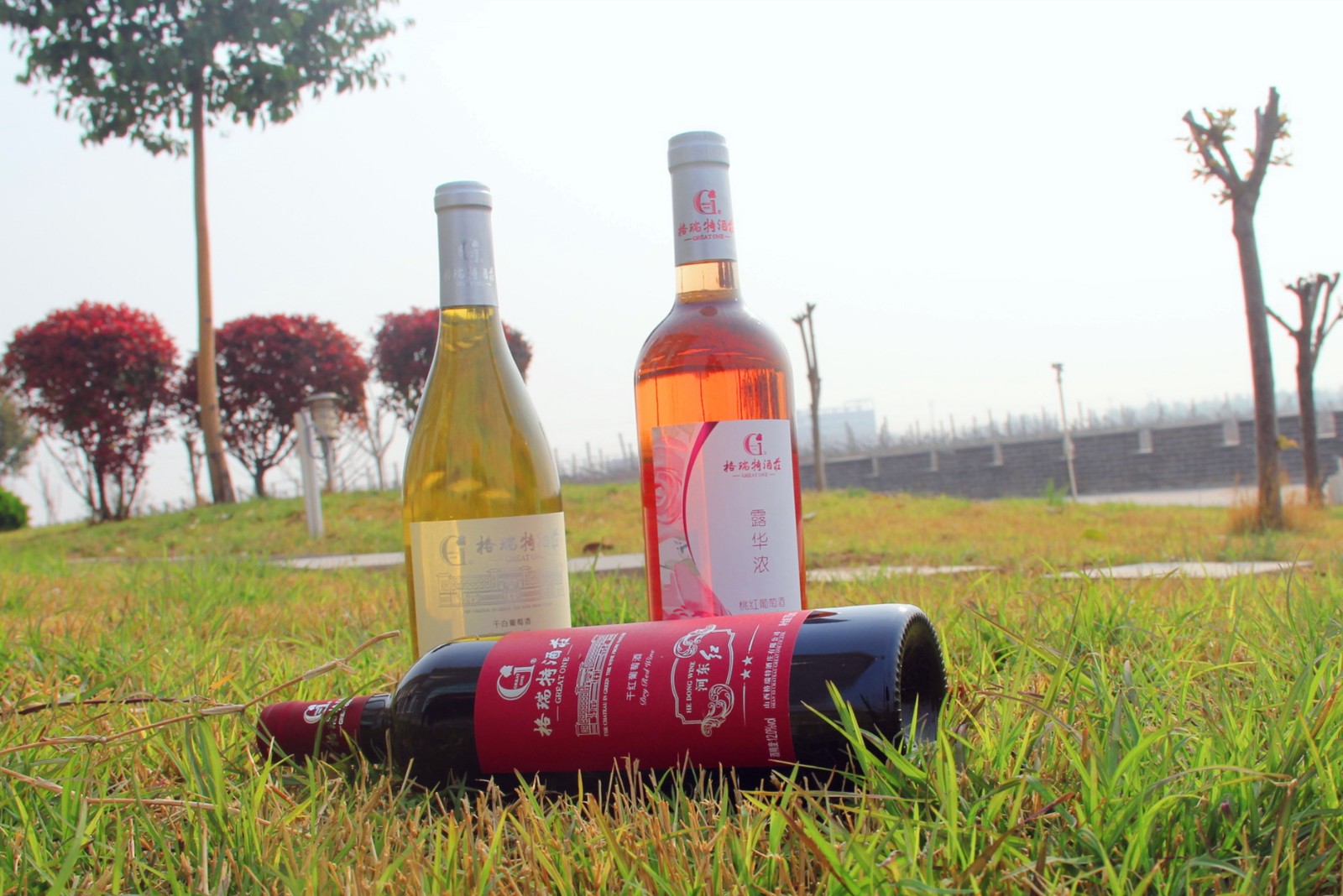 15543397775540.jpg 1.jpg