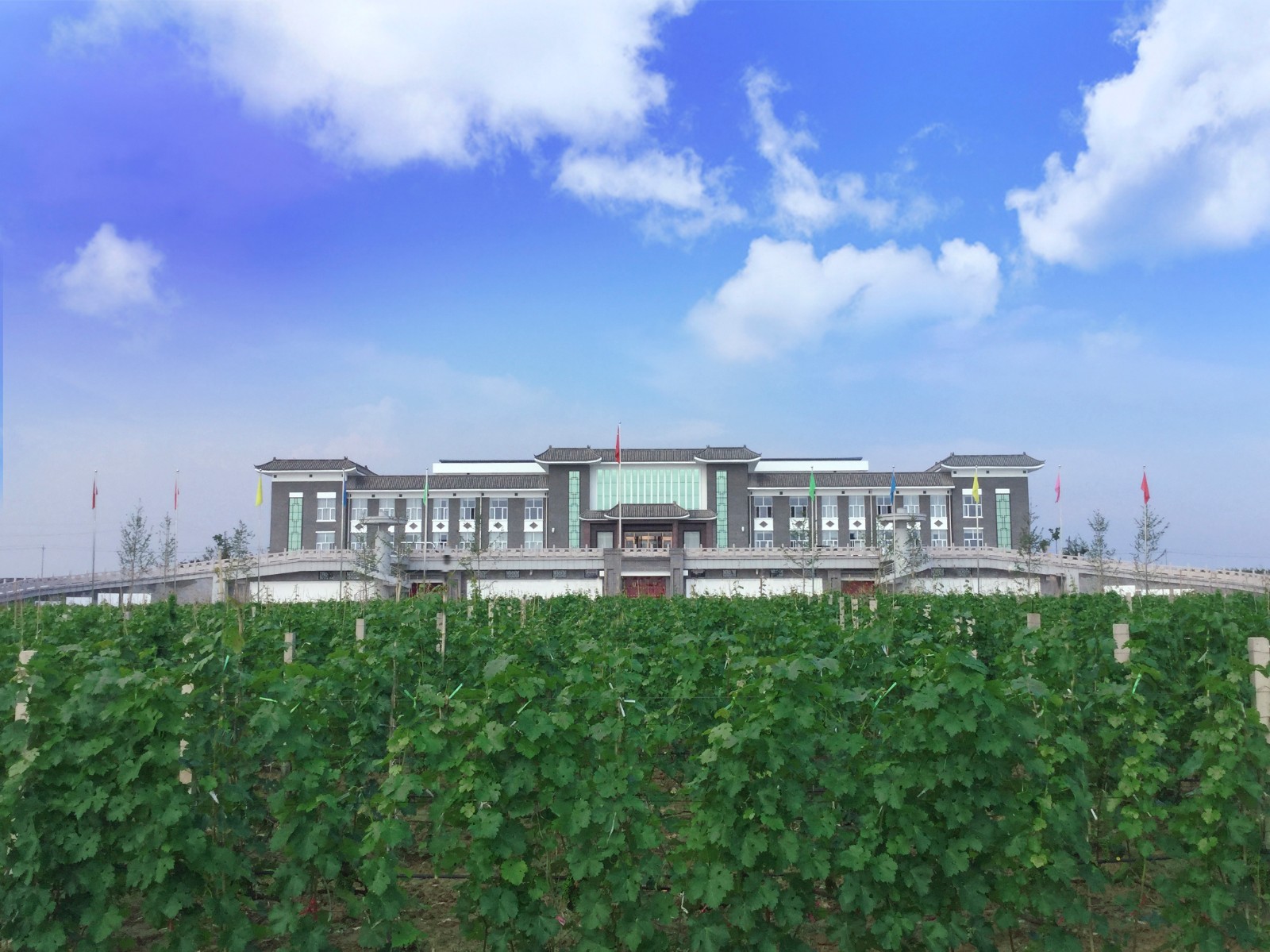 15710177632909.jpg 1.jpg