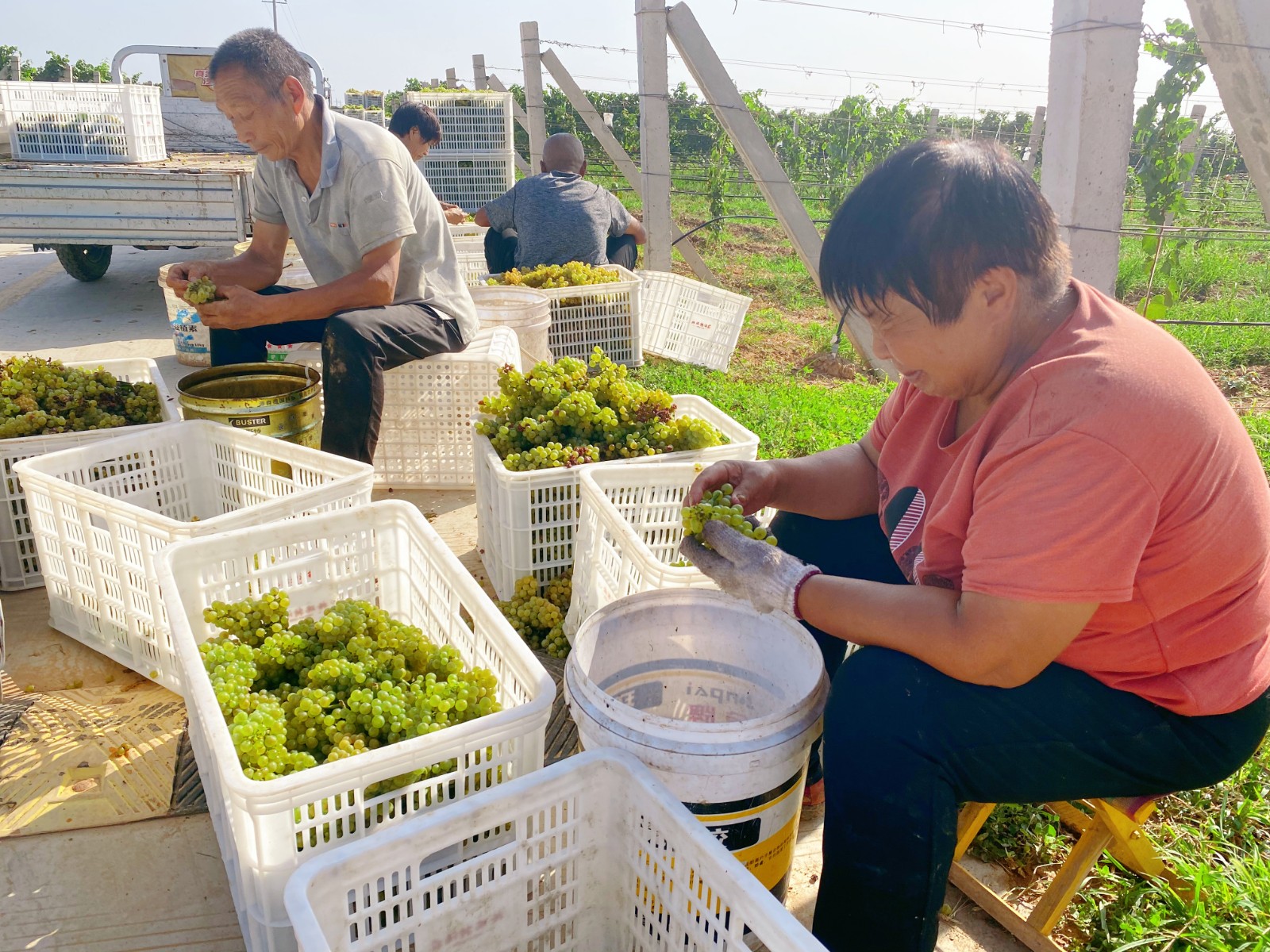 16296793774548.jpg 微信圖片_20210821093021.jpg