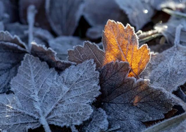 16362467099097.jpg src=http___nimg.ws.126.net__url=http%3A%2F%2Fdingyue.ws.126.net%2F2021%2F1025%2F9655a19aj00r1j0dc001hc000hs00clg.jpg&thumbnail=650x2147483647&quality=80&type=jpg&refer=http___nimg.ws.126.jpg