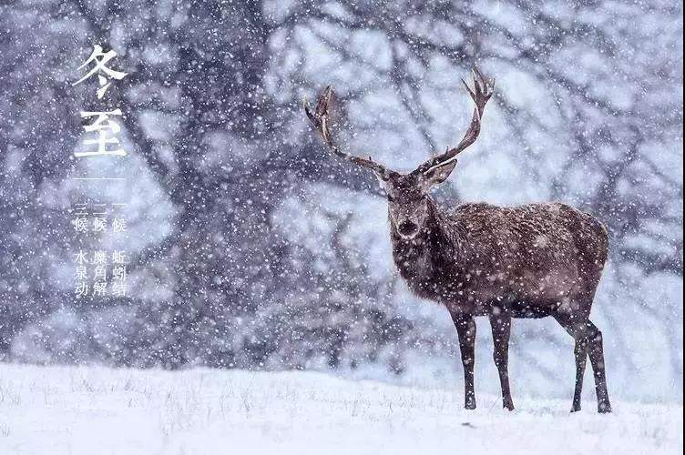 16401394089650.jpg src=http___www.hebgcdy.com_pic_003_001_784_00300178482_031ee979.jpg&refer=http___www.hebgcdy.jpg