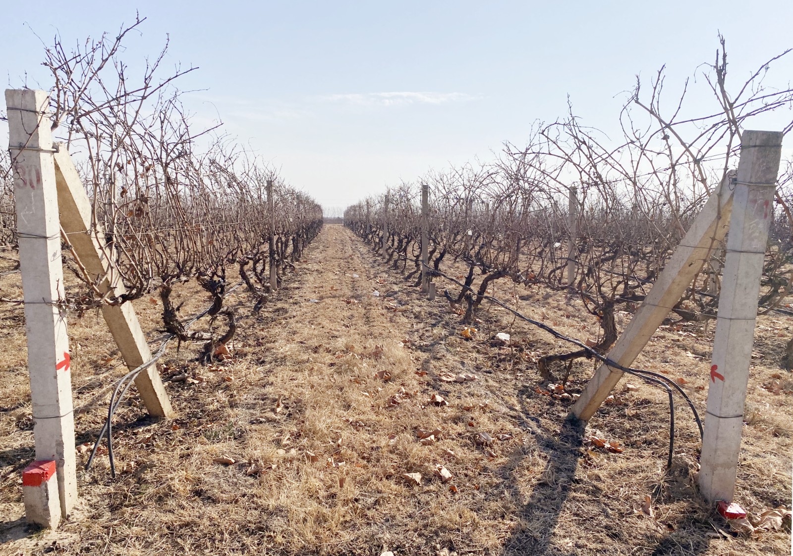 16401394451222.jpg 微信圖片_20211220144812.jpg