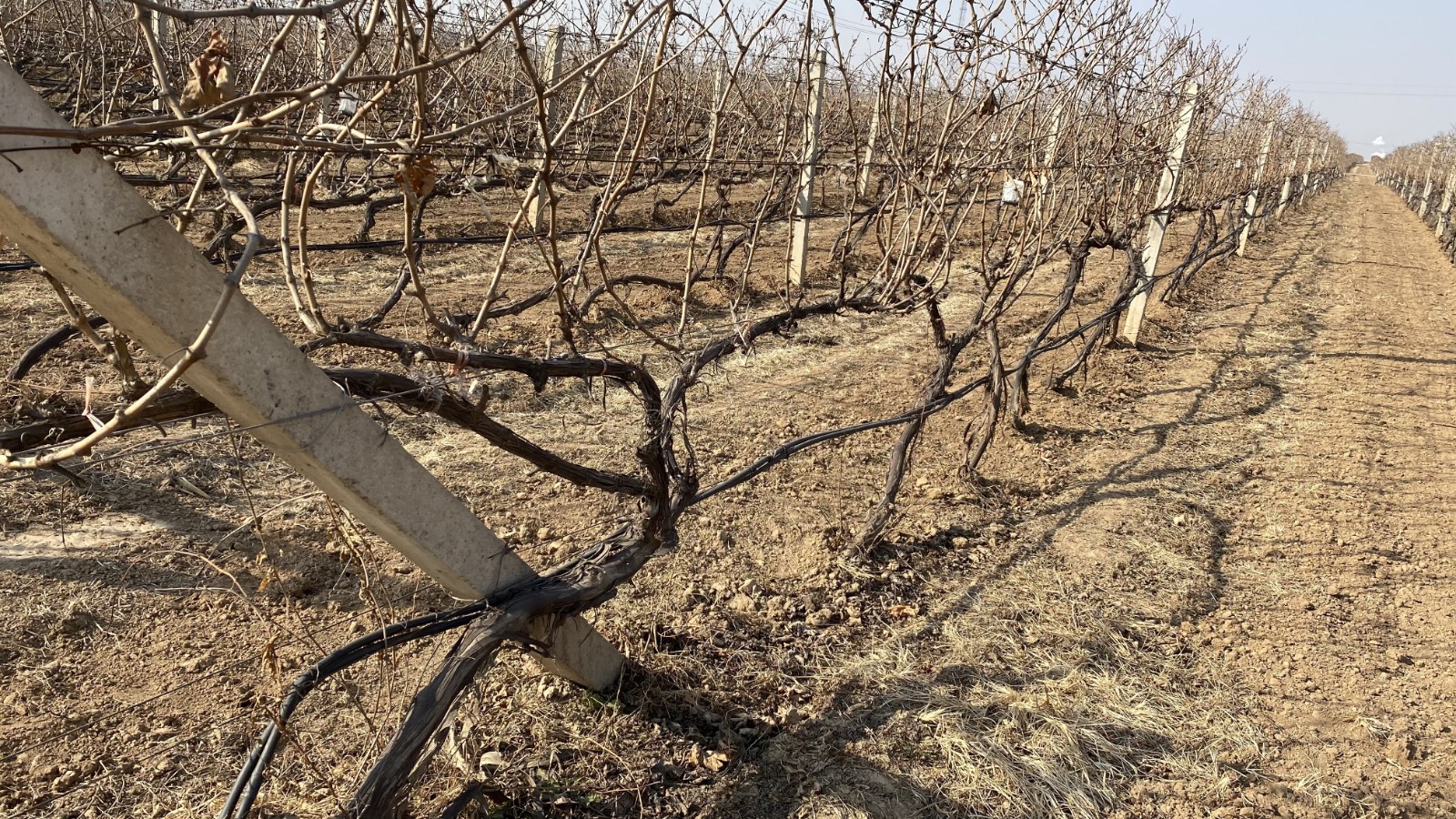 16438617653708.jpg 微信圖片_20220104160502_副本.jpg