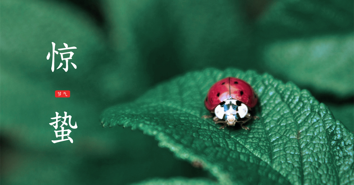 驚蟄 ▎驚蟄始，萬(wàn)物舒，與你聽風(fēng)望春來(lái)
