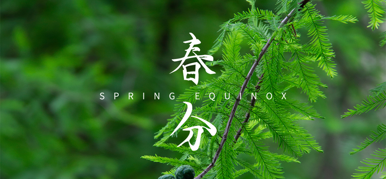 春分 ▎不負(fù)春光，萬(wàn)物生長(zhǎng)