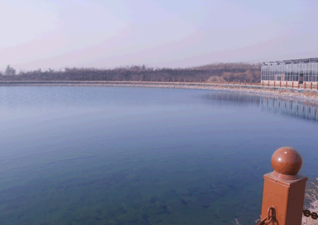 16504180332081.jpg 640.jpg