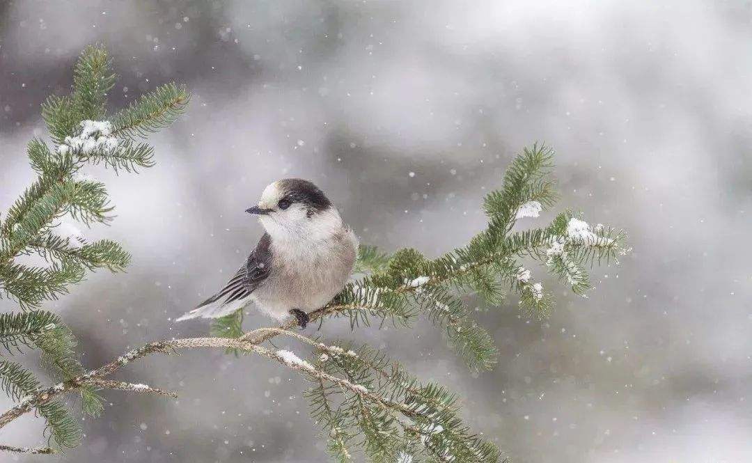 16706371977179.jpeg d23991fafd25c180a6359bcad0c24002.jpeg