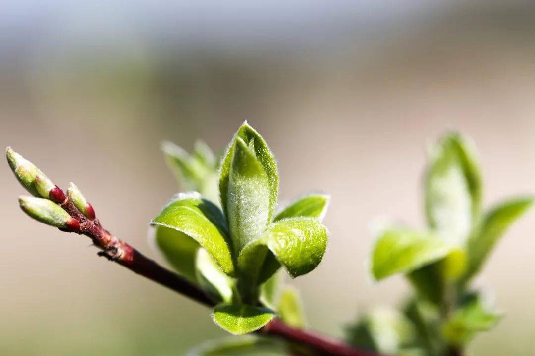 16757334811326.jpeg 111cbaa420efa65344b46175e7905778.jpeg