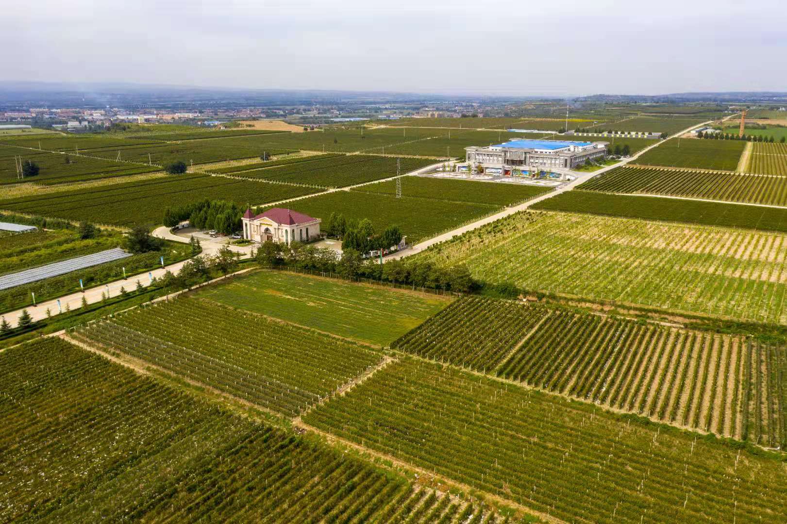 16773818977985.jpg 微信圖片_20201217082335.jpg