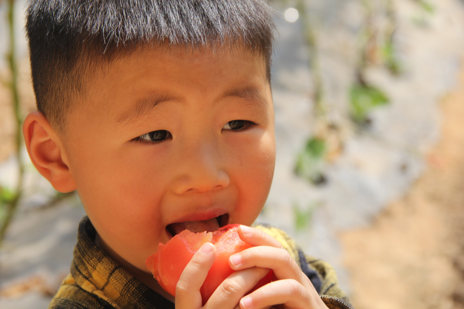 16773819286344.jpg IMG_5551.JPG