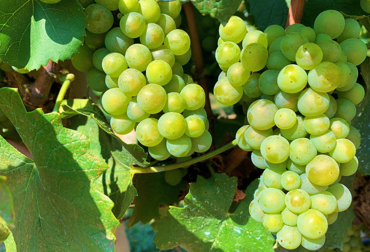 16905374604155.jpg 微信圖片_20230728174340.jpg