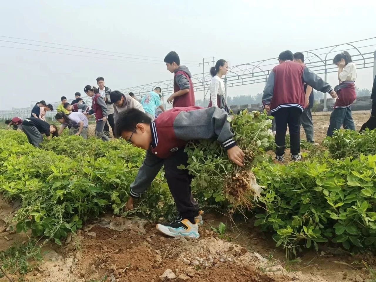 17114128302828.jpg e664f9c44b7241df42b88c576ae904e9.jpg