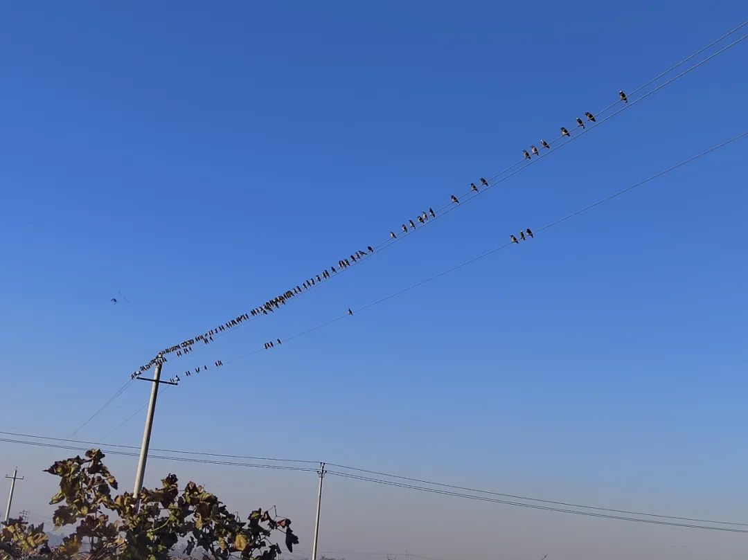 17114164939084.jpg 67149d281d60db88bb8c6a7836c4a440.jpg