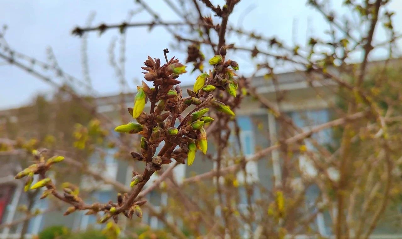 17114242441067.jpg 77b4af114cc53a9debe1ee3037c5bc23.jpg