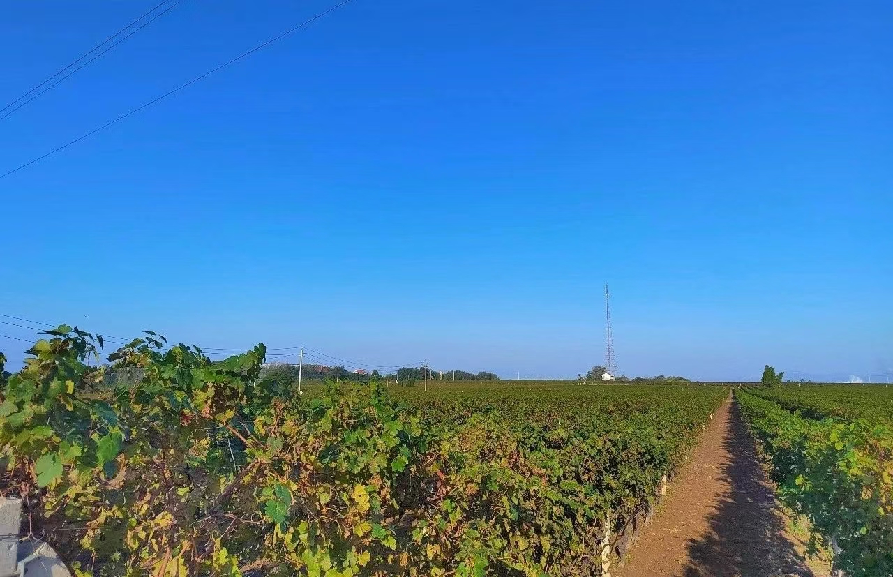 17301817662787.jpg 635392814221108757.jpg