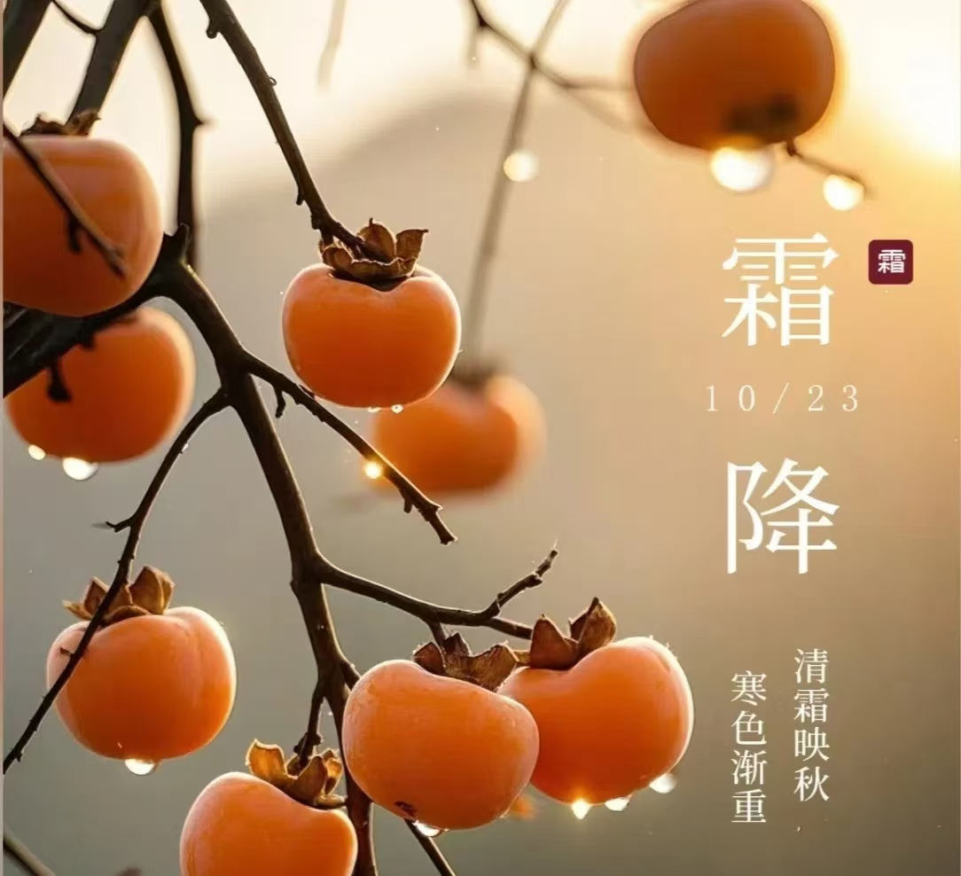 霜降||人間至此秋色盡，草木搖落露為霜